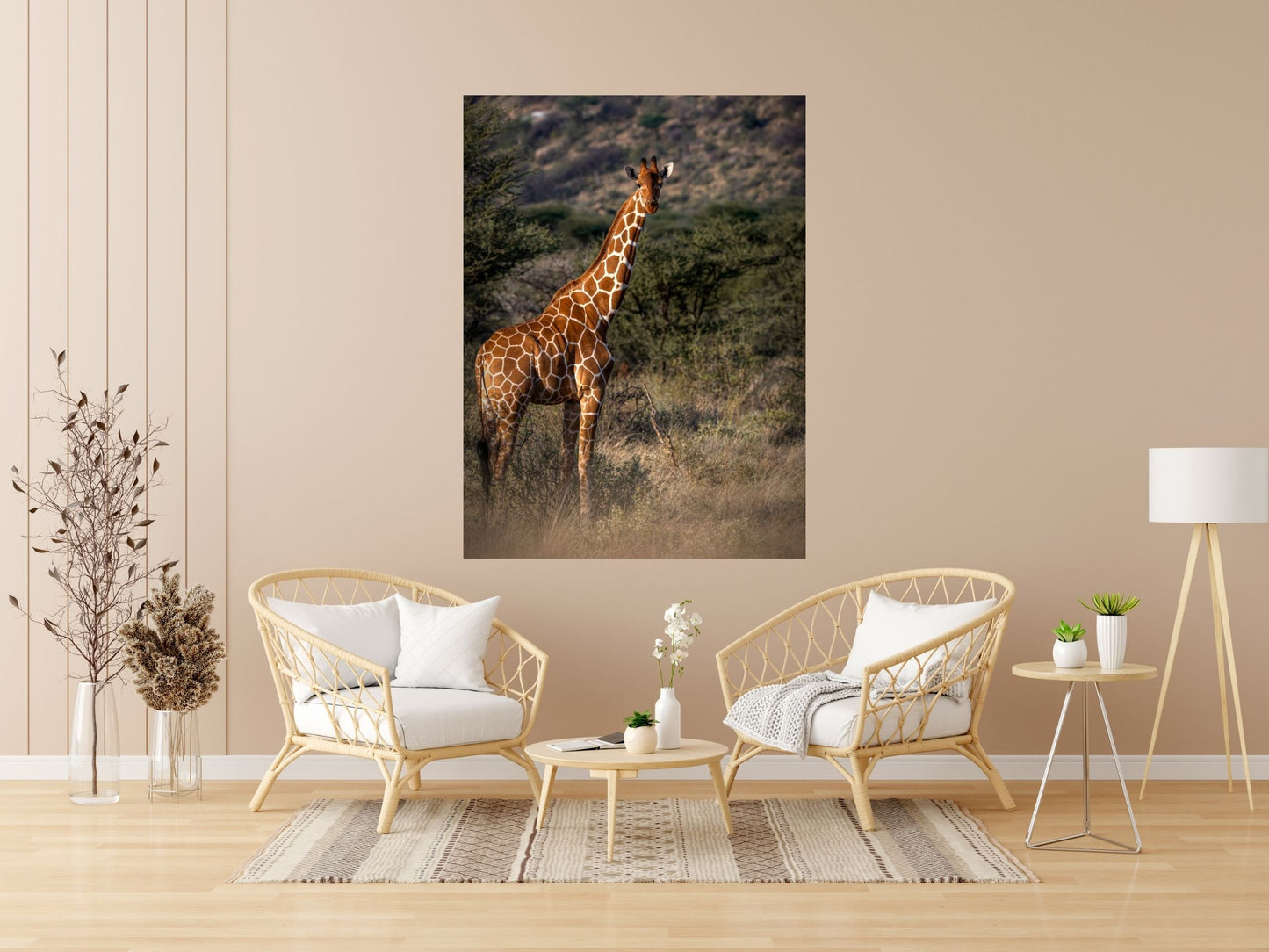 GIRAFFA RETICOLATA