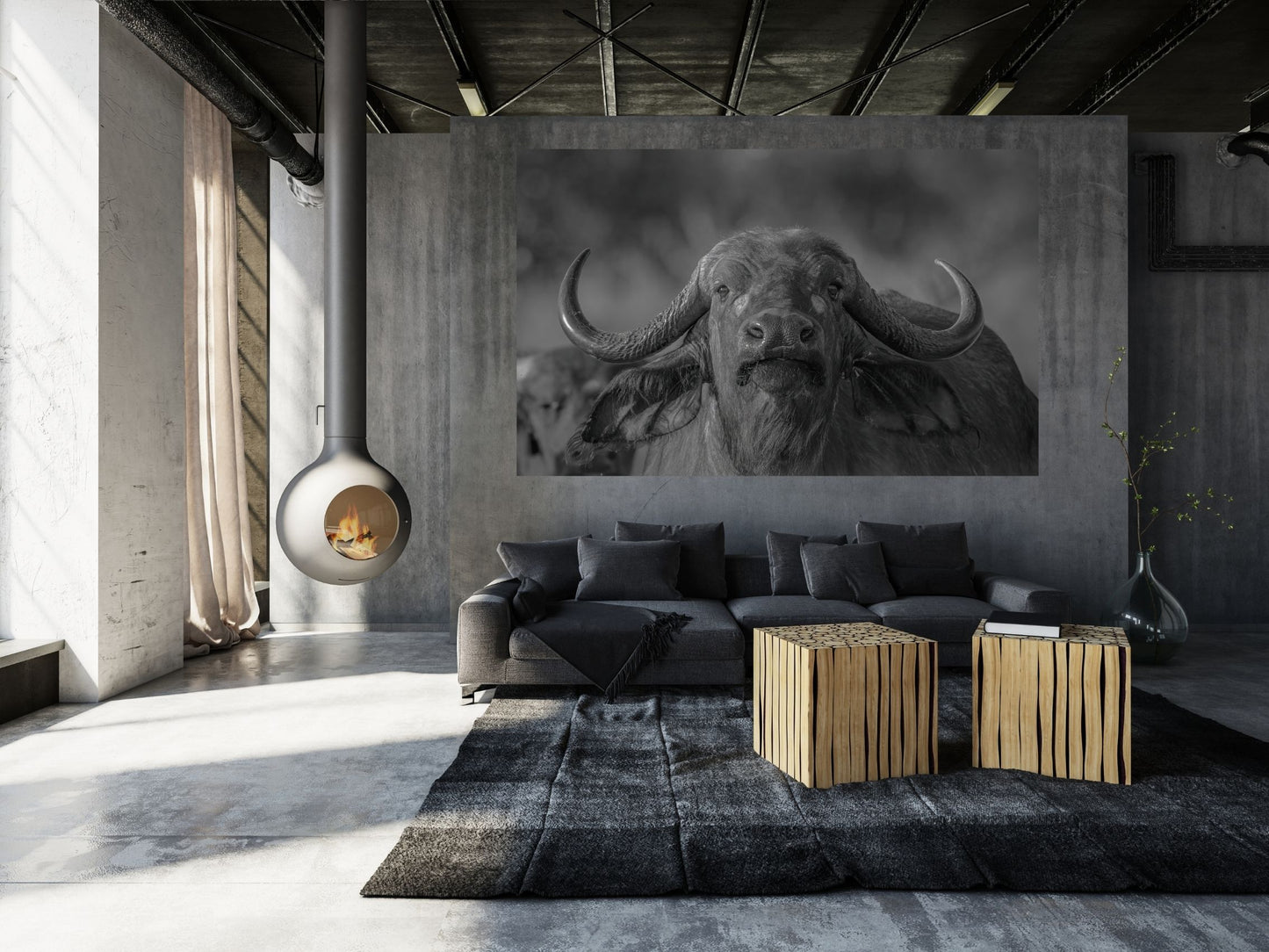 BUFALO AFRICANO