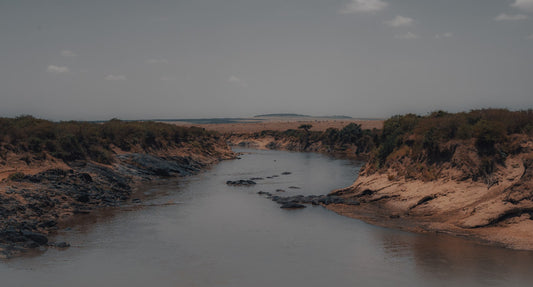 PAESAGGIO AFRICANO